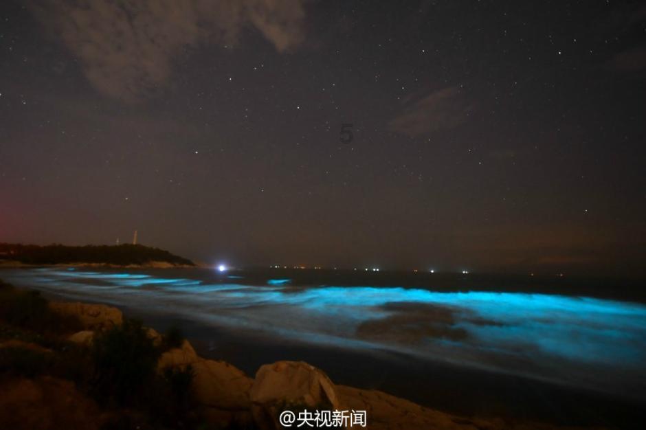 小猫钓鱼正版下载中文版