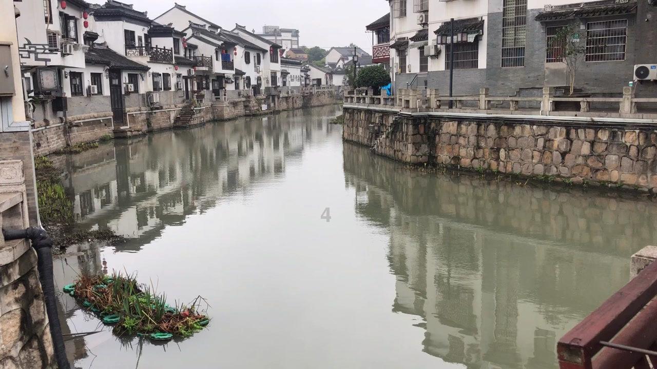 国联安基金总经理王琤：与时代同频共振，与客户同心同行